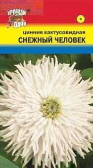 Купить оптом в Ботанике семена Цинния Снежный человек УУ бренд Урожай Удачи