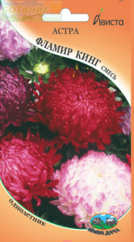 Купить оптом в Ботанике семена Астра Фламир Кинг смесь Ав бренд Ависта