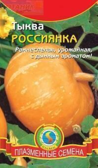 Купить оптом в Ботанике семена Тыква Россиянка Плз бренд Плазмас
