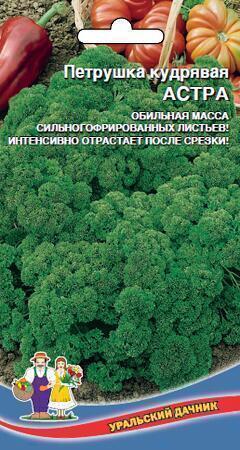 Купить оптом в Ботанике семена Петрушка Астра кудрявая УД бренд Уральский дачник
