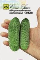 Купить оптом в Ботанике семена Огурец Рисан F1 Сем бренд Семко