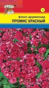 Купить оптом в Ботанике семена Флокс Промис красный УУ бренд Урожай Удачи