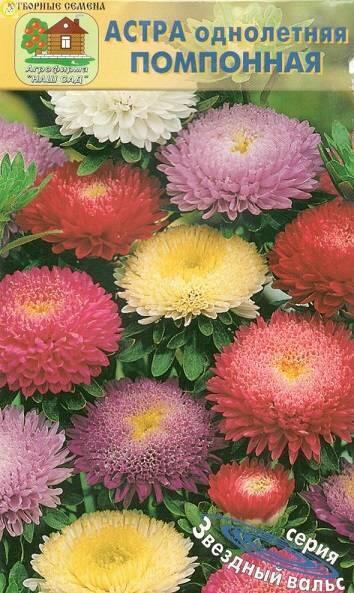 Купить оптом в Ботанике семена Астра Помпонная Наш бренд Наш сад