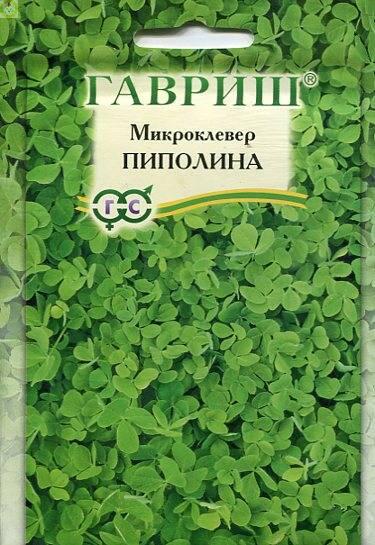 Купить оптом в Ботанике семена Микроклевер Пиполина 20 г Гав бренд Гавриш