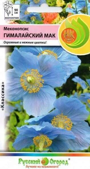 Купить оптом в Ботанике семена Меконопсис Гималайский мак НК бренд НК