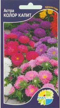 Купить оптом в Ботанике семена Астра Колор капит смесь Акв бренд Акварель
