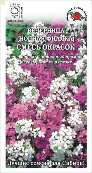Купить оптом в Ботанике семена Вечерница смесь окрасок ЗС бренд Золотая сотка