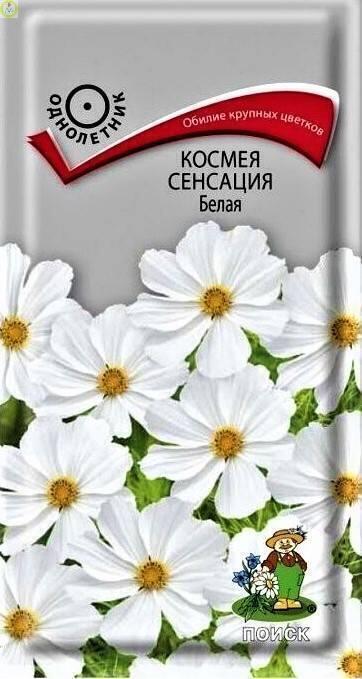 Купить оптом в Ботанике семена Космея Сенсация белая Поиск бренд Поиск