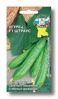 Купить оптом в Ботанике семена Огурец Штраус F1 Сед бренд СеДеК