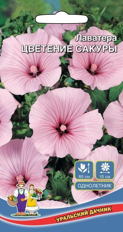 Купить оптом в Ботанике семена Лаватера Цветение сакуры УД бренд Уральский дачник
