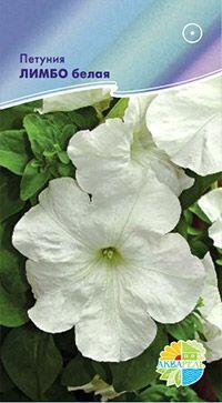 Купить оптом в Ботанике семена Петуния Лимбо вайт Акв бренд Акварель