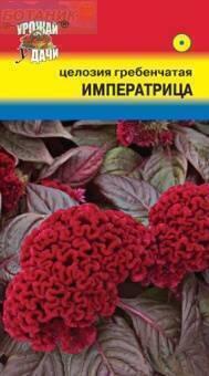 Купить оптом в Ботанике семена Целозия Императрица гребенчатая УУ бренд Урожай Удачи