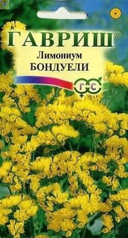 Купить оптом в Ботанике семена Лимониум Бондуели Гав бренд Гавриш