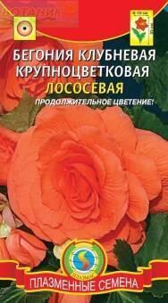 Купить оптом в Ботанике семена Бегония Крупноцветковая лососевая Плз бренд Плазмас