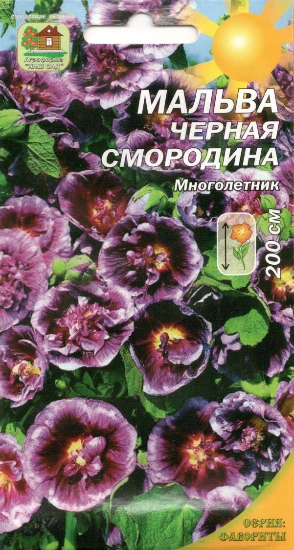 Купить оптом в Ботанике семена Мальва Черная смородина Наш бренд Наш сад