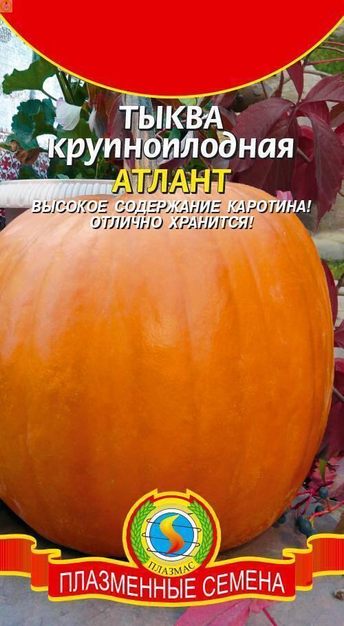 Купить оптом в Ботанике семена Тыква Атлант Плз бренд Плазмас