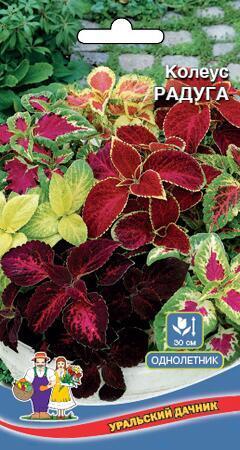 Купить оптом в Ботанике семена Колеус Радуга УД бренд Уральский дачник