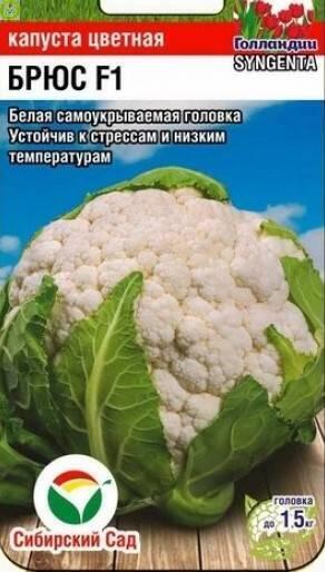 Купить оптом в Ботанике семена Капуста цветная Брюс F1 СС бренд Сиб.сад