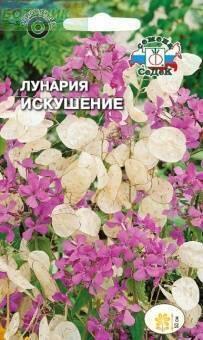Купить оптом в Ботанике семена Лунария Искушение Сед бренд СеДеК