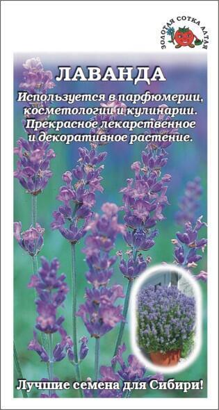 Купить оптом в Ботанике семена Лаванда ЗС бренд Золотая сотка