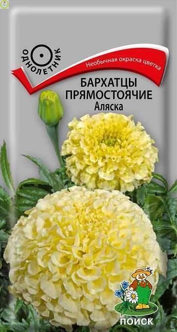 Купить оптом в Ботанике семена Бархатцы Аляска прямостоячие Поиск бренд Поиск
