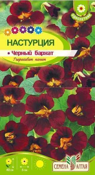 Купить оптом в Ботанике семена Настурция Черный бархат СА бренд Семена Алтая
