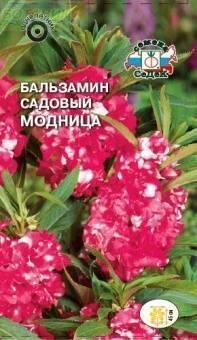 Купить оптом в Ботанике семена Бальзамин Модница Сед бренд СеДеК