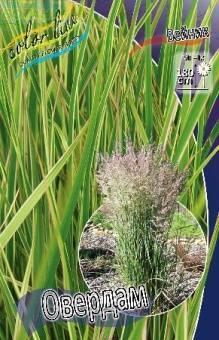 Купить оптом в Ботанике Вейник Овердам 2 шт