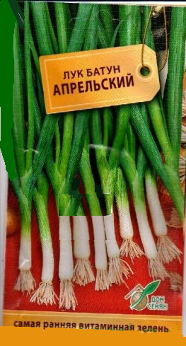 Купить оптом в Ботанике семена Лук батун Апрельский ССО бренд Сортсемовощ