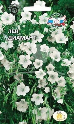 Купить оптом в Ботанике семена Лен Диамант многолетний белый Сед бренд СеДеК