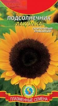 Купить оптом в Ботанике семена Подсолнечник Лакомка Плз бренд Плазмас