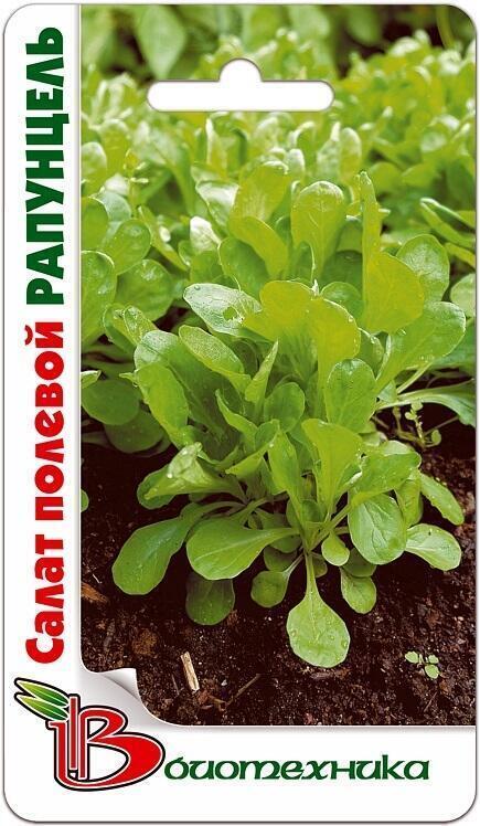 Купить оптом в Ботанике семена Салат Рапунцель Био бренд Биотехника