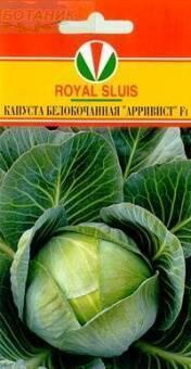Купить оптом в Ботанике семена Капуста белокочанная Арривист F1 Акв бренд Акварель