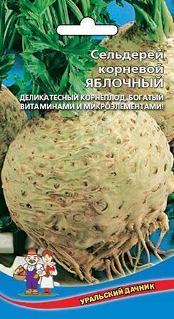 Купить оптом в Ботанике семена Сельдерей Яблочный корневой УД бренд Уральский дачник