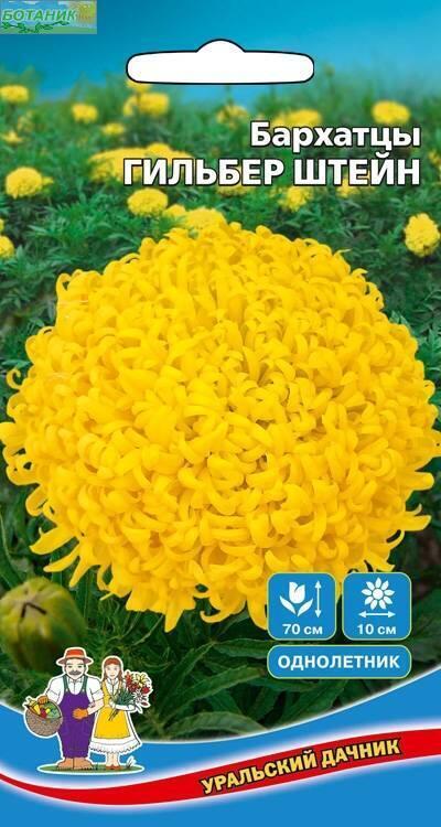 Купить оптом в Ботанике семена Бархатцы Гильбер Штейн УД  бренд Уральский дачник