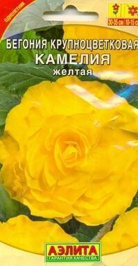 Купить оптом в Ботанике семена Бегония Камелия желтая крупноцветковая Аэл бренд Аэлита