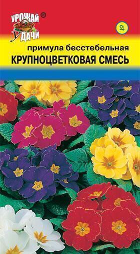 Купить оптом в Ботанике семена Примула Бесстебельная крупноцветковая смесь УУ бренд Урожай Удачи