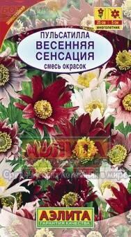 Купить оптом в Ботанике семена Пульсатилла Весенняя сенсация Аэл бренд Аэлита
