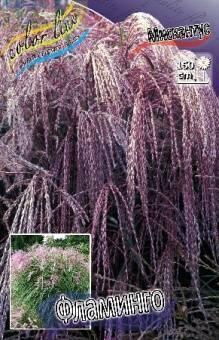 Купить оптом в Ботанике Мискантус Фламинго 2 шт