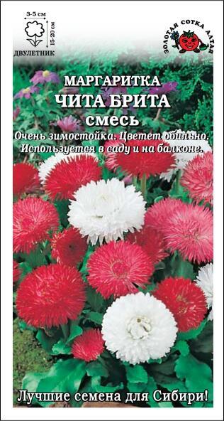 Купить оптом в Ботанике семена Маргаритка Чита Брита смесь ЗС бренд Золотая сотка