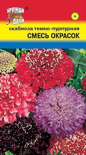 Купить оптом в Ботанике семена Скабиоза Смесь окрасок УУ бренд Урожай Удачи