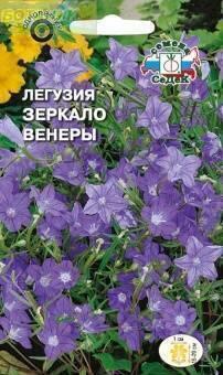 Купить оптом в Ботанике семена Легузия Зеркало Венеры голубая Сед бренд СеДеК