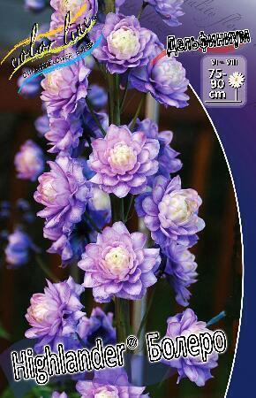 Купить оптом в Ботанике Дельфиниум Болеро 1 шт