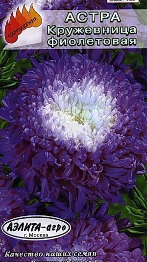 Купить оптом в Ботанике семена Астра Кружевница фиолетовая помпонная Аэл бренд Аэлита