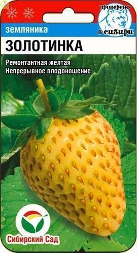 Купить оптом в Ботанике семена Земляника Золотинка СС бренд Сиб.сад