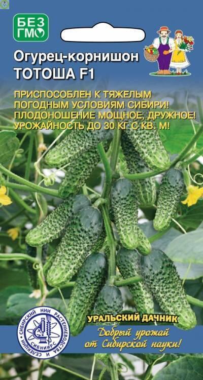 Купить оптом в Ботанике семена Огурец Тотоша УД бренд Уральский дачник