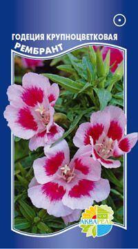Купить оптом в Ботанике семена Годеция Рембрандт азалиецветковая Акв бренд Акварель