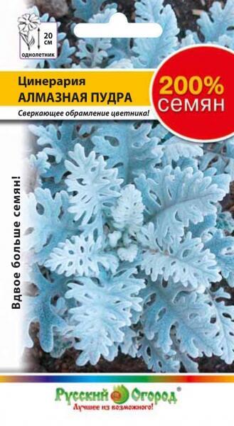 Купить оптом в Ботанике семена Цинерария Алмазная пудра 200% НК бренд НК