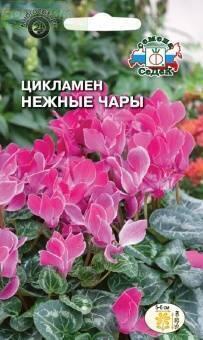 Купить оптом в Ботанике семена Цикламен Нежные чары Сед бренд СеДеК