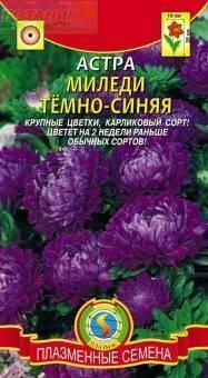 Купить оптом в Ботанике семена Астра Миледи темно-синяя Плз бренд Плазмас